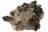 Dark Smoky Quartz Crystal Cluster - Brazil #104093-1